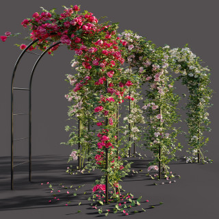 Pergola - Baštenski luk za ruže i puzavice