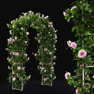 Pergola - Baštenski luk za ruže i puzavice