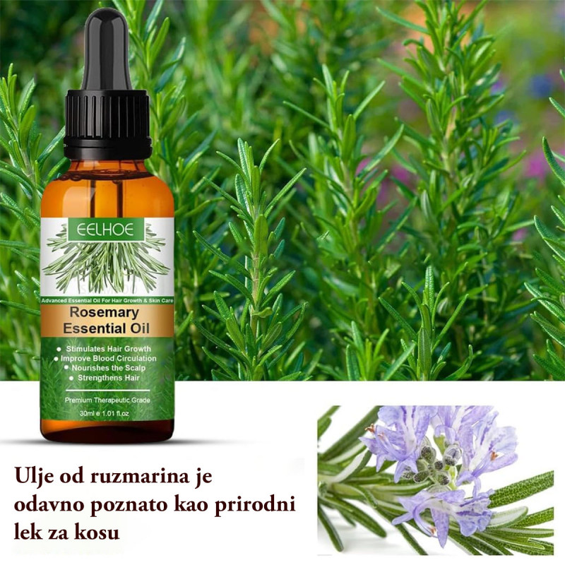 Rosemary Oil - Ulje za rast kose na bazi ruzmarina