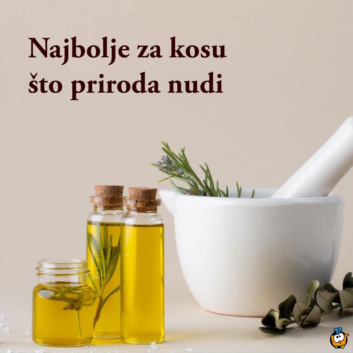 Rosemary Oil - Ulje za rast kose na bazi ruzmarina